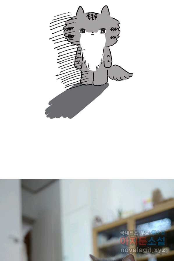 1663272706699g1c4gdf69zp.jpeg