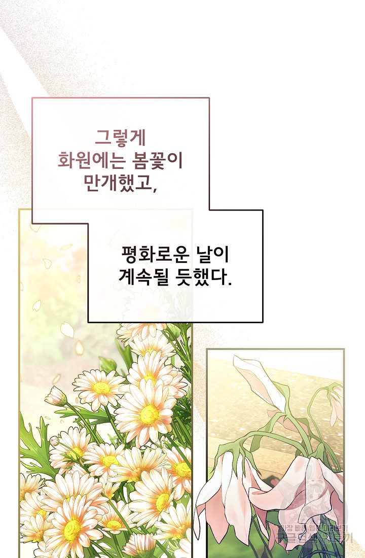 166397711960091sf4vhko.jpeg