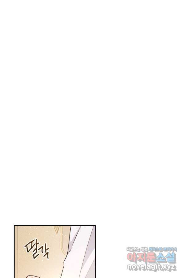 16645060240569l268cv8sh.jpeg