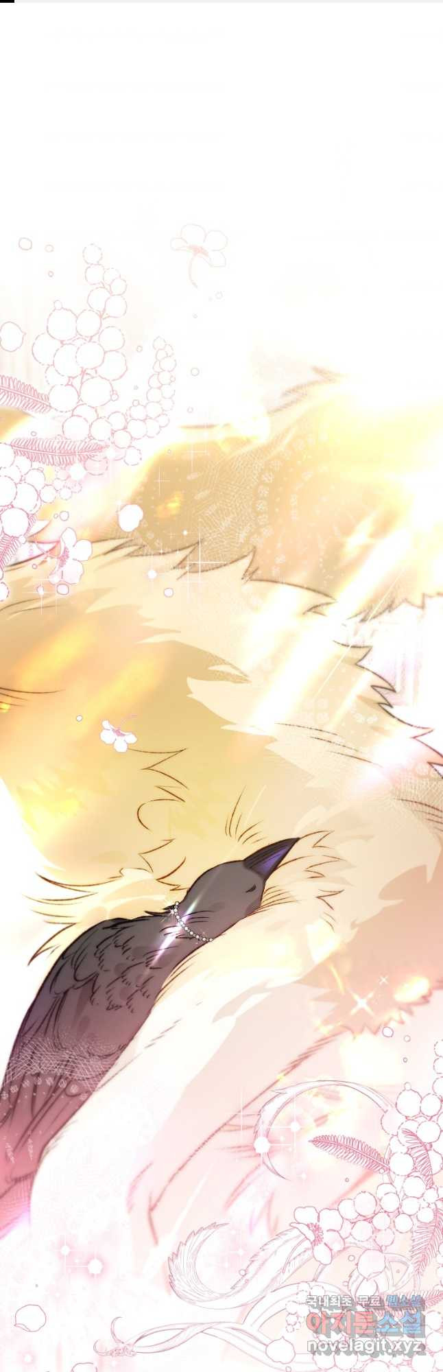 16750419212997936w8oc64j.jpeg