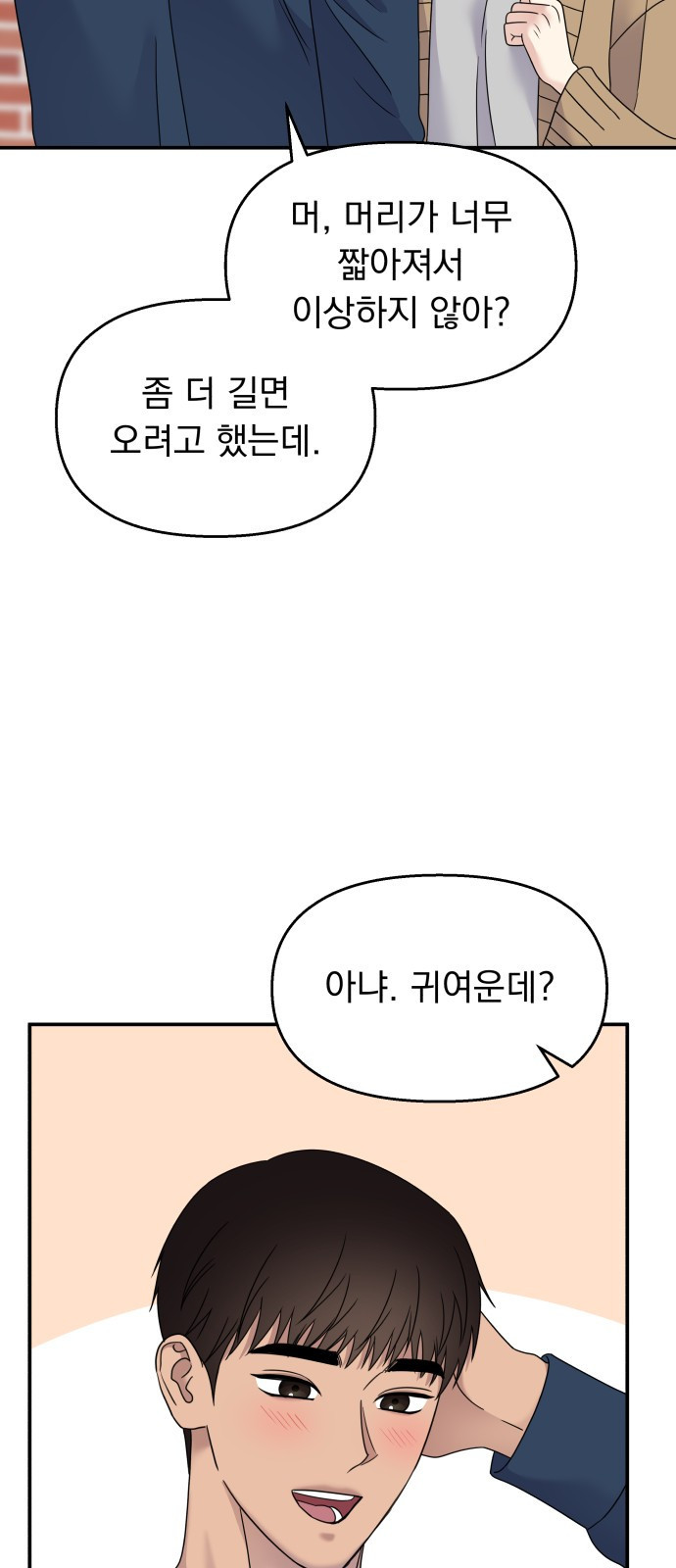 1675651428022he40ieb1glw.jpeg