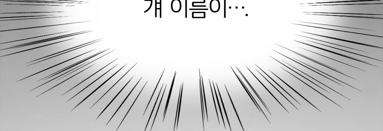 1679081312932m8gyp0a37mm.jpeg
