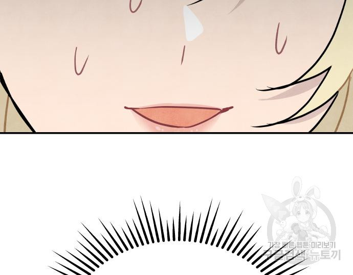 1679700386389iti1p329wx.jpeg