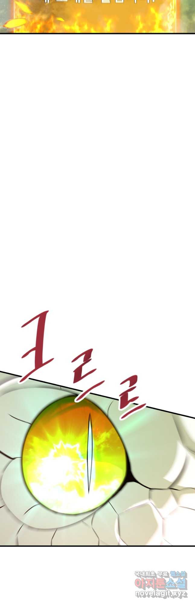 1681350411527x2emrvem2zk.jpeg