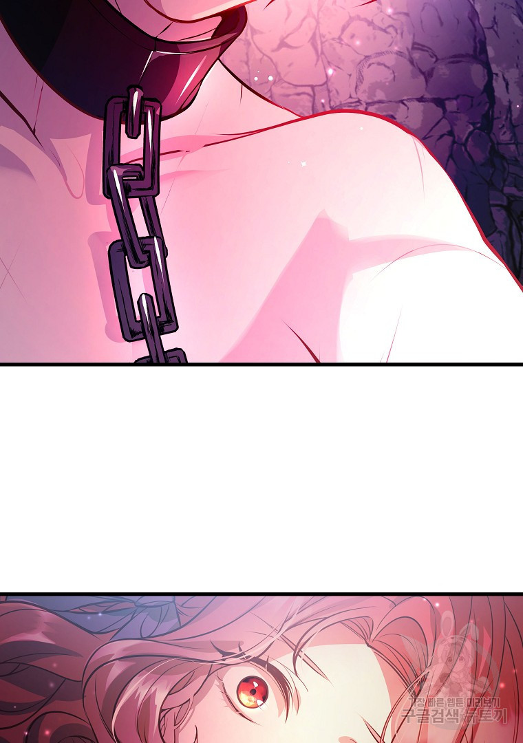 1681525307494vb6dkcys66g.jpeg