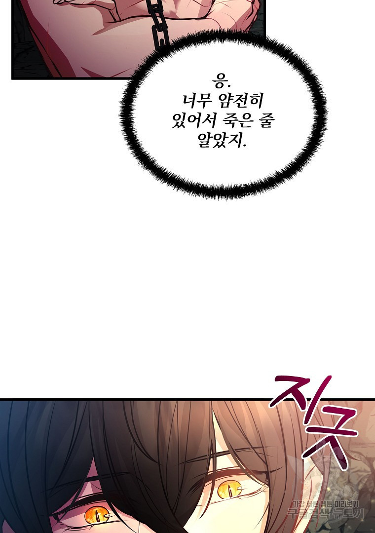 168152532647640na388wt79.jpeg