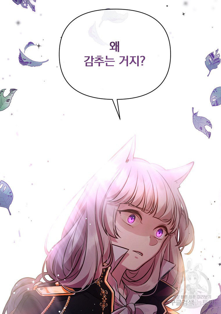 1681525435234ufm06zwcha.jpeg