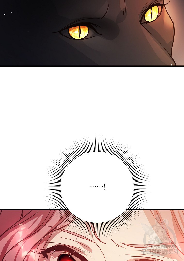 1681525200019udi8exbauee.jpeg