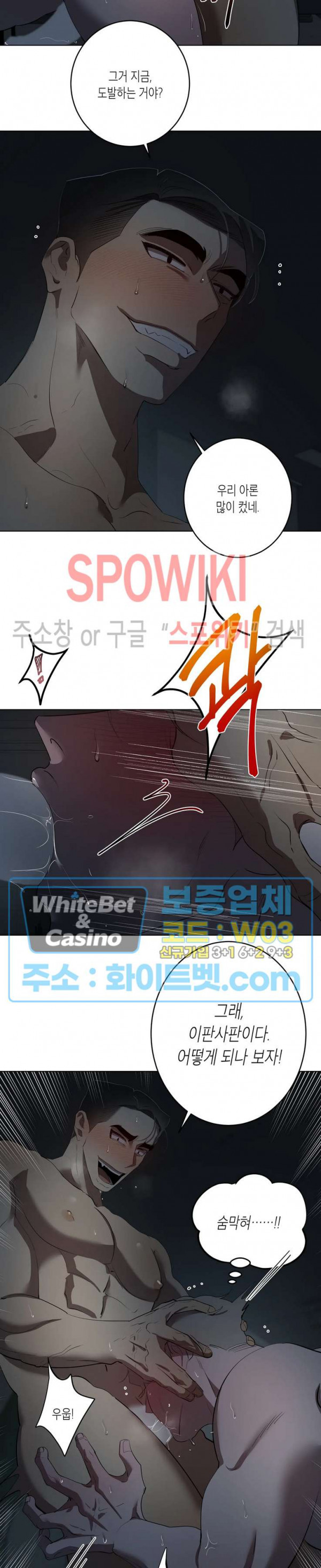 16815254575803ssa2bx03vs.jpg
