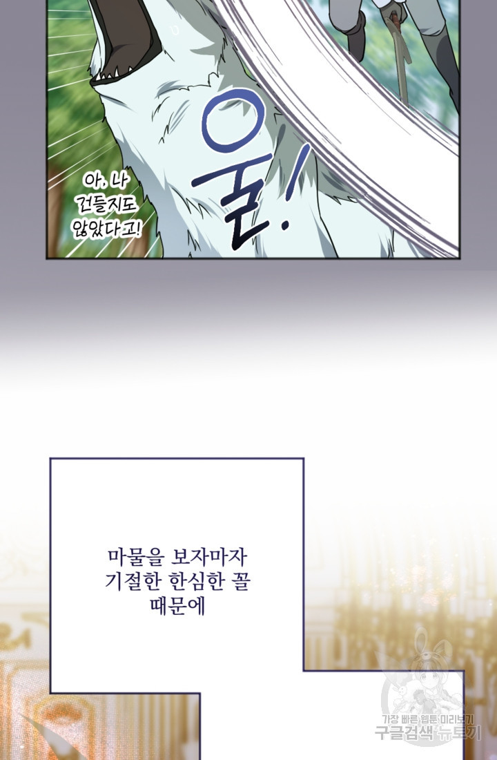 16819557018909ei9wti1gzg.jpeg