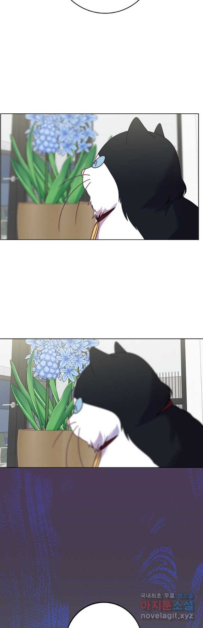16823931598049onrjadcgzn.jpeg