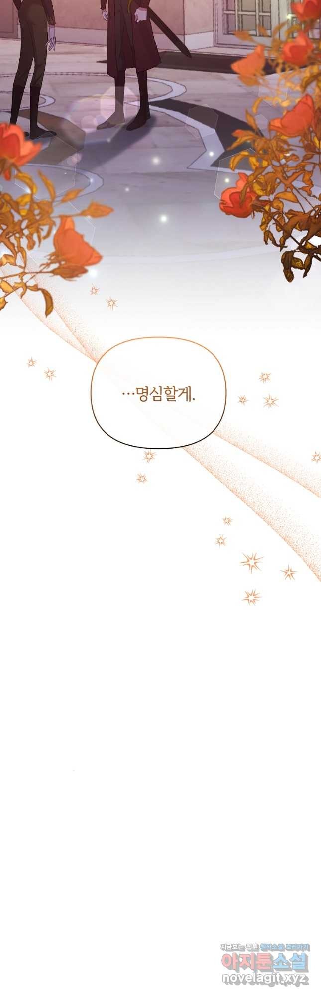 16808350598911925zp155je.jpeg