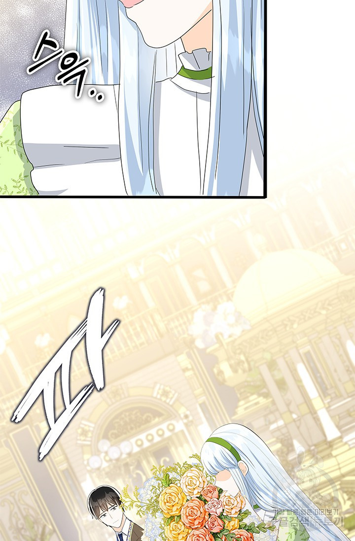 1680922065055bgqh7p63ur7.jpeg