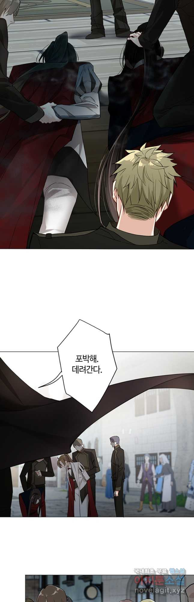 1683872960129bbeaapponlo.jpeg