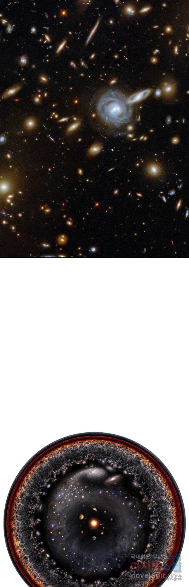 1684117412546bhjafv58eop.jpeg