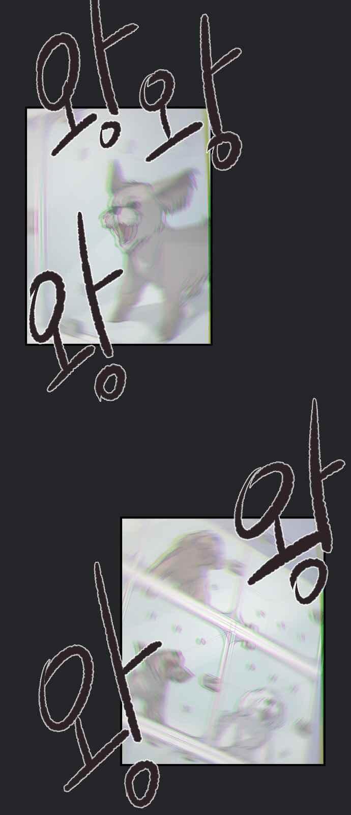 1565189067091.jpeg