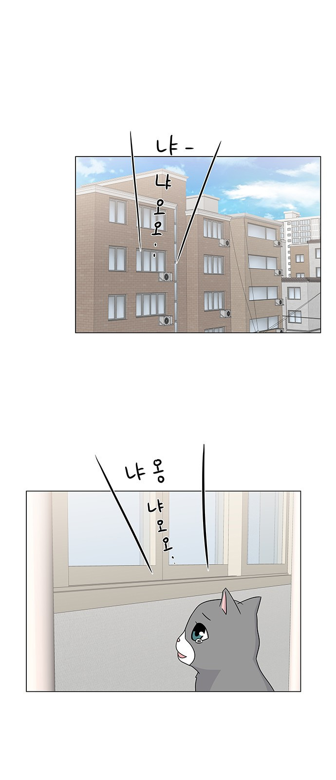 15653838219779.jpeg