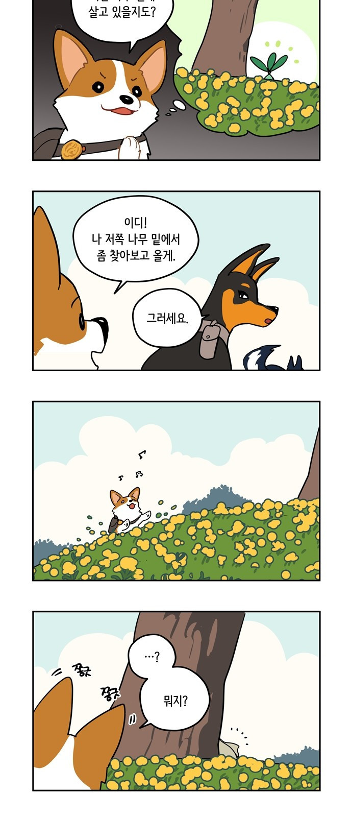 15653900823228.jpeg
