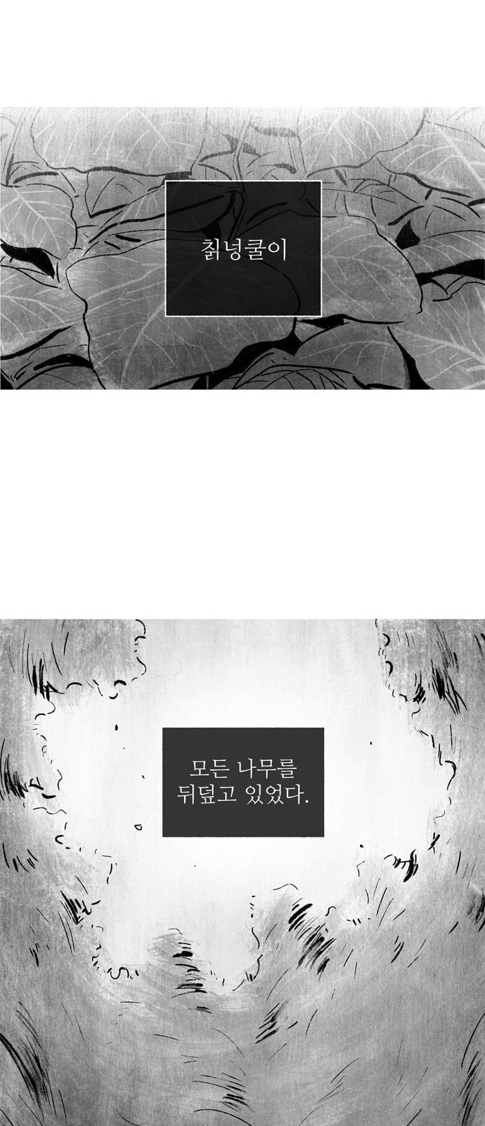 15725710341748.jpeg